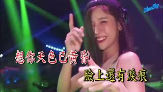 容易受伤的女人DJ （卡拉ok)