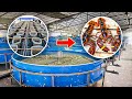 SHOCKING Indoor Lobster Farm Harvests BILLIONS Per Year