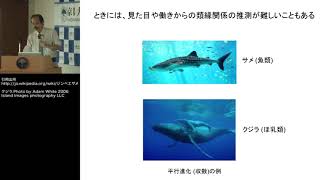 京都大学 第48回品川セミナー「iPS細胞技術を用いたがん特異的キラーT細胞の再生－がんの免疫細胞療法の革新的戦略－」河本 宏（京都大学再生医科学研究所 教授）2014年5月2日 05