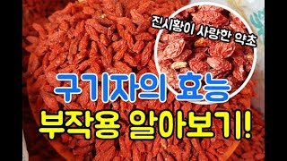 구기자의 효능 부작용 총정리 Koji Berry Efficacy