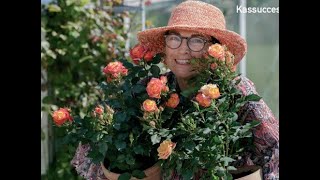 Meet Rosa Eskelund, the breeder of Viking Roses and Roses Forever