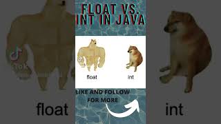 Float vs int in java. #java #tutorial #float #int #shibainu #doge #meme