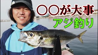 小名浜港のサビキ釣り事情！簡単だけど〇〇が大事！これだけ守れば釣れる！アジを釣る大事な事。【いわき市小名浜港　釣り】