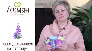 САМОЕ ВРЕМЯ ПОСЕЯТЬ ДЕЛЬФИНИУМ НА РАССАДУ!