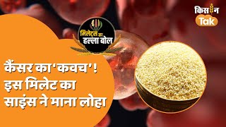 Cancer Prevention: कैंसर से बचाव में बेहद मददगार है ये मोटा अनाज | Foxtail Millet| Kisan Tak