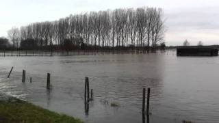 Hoogwater Roerdalen