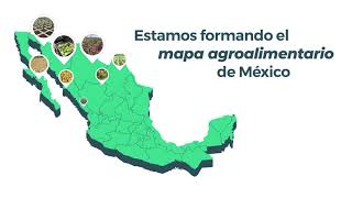 Esto es lo que el campo mexicano necesita / MAPA DE CULTIVOS AGRO