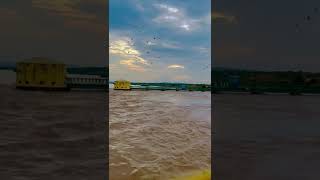 चंबल नदी ने तोड़ा 26 साल पुराना रीलोड | 😱 चंबल नदी ख़तर के निसान  से ऊपर | Chambal River |￼