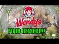 Apple Pecan salad by Wendys/ Food review! (Vid48)