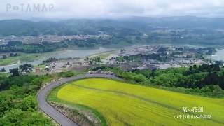 山本山高原の菜の花畑と小千谷市の春 〜新潟県小千谷市〜