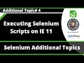 Executing Selenium Scripts on Internet Explorer (IE 11) Browser