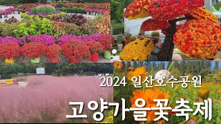 2024년 고양 가을꽃 축제가 시작되었어요.｜일산호수공원