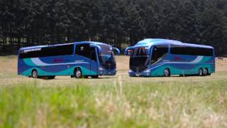 BOLETOS DE AUTOBUS A LA CIUDAD DE MEXICO