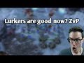 Lurkers are good vs Protoss now? ZvP vs Disk