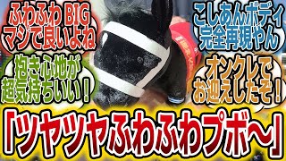 「サラコレのプボをお迎えしたぞおおおお！」に対するみんなの反応【競馬の反応集】