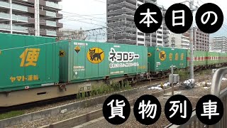 【本日の貨物列車】No.245　2021,3,19　第1055番列車　Today‘s freight train