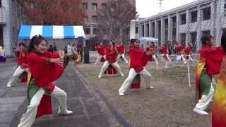 踊りゃん祭（～ツリー周回）／イルミネーション さくら並木会場／2013あやせイルミネーションde\