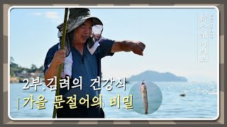 2부. 가을 문절어를 찾아 [2021 우해이어보 ‘다시, 창원 바다’]｜MBC경남 211110 방송