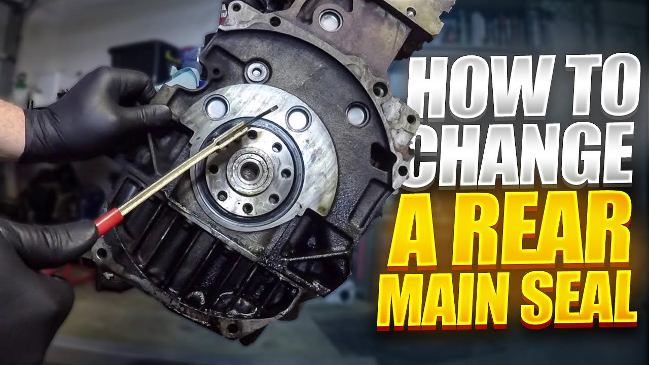 What Is A Rear Main Seal Infoupdate Org