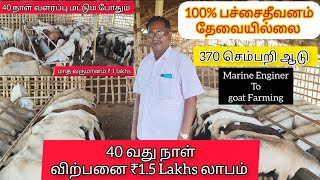 370 செம்பறி ஆடு 40 வது நாள் முதல் விற்பனை மாதம் ₹ 1.5 lakhs வருமானம் உறுதி 💖#sheep breeding