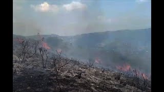Incendio forestal consume más de 50 hectáreas en zona rural de Cali en menos de 24 horas