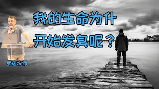 软弱的信徒如何恢复信心呢？#福音