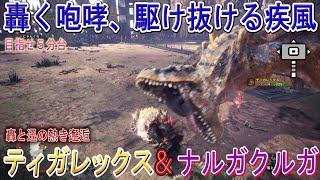 【MHW:Iモンスターハンターワールド アイスボーン】ティガ＆ナルガ　万能ハンマーで叩きのめせ！　目指せ５分台！轟と迅の熱き邂逅【ゆっくり実況】