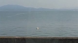 3月14日 国道９号線 島根県松江市付近 宍道湖沿い ～国道54号線 雲南市付近 積み込み移動。