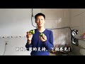 母橘子最甜？教你3招，包你每次都买到又甜又好吃的橘子！【小川子熟食】