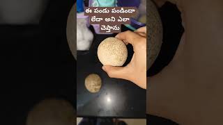 #tips #tricks #yelakaai #velagapandu #shorts #viral #trending #ytshorts #youtubeshorts #video #like