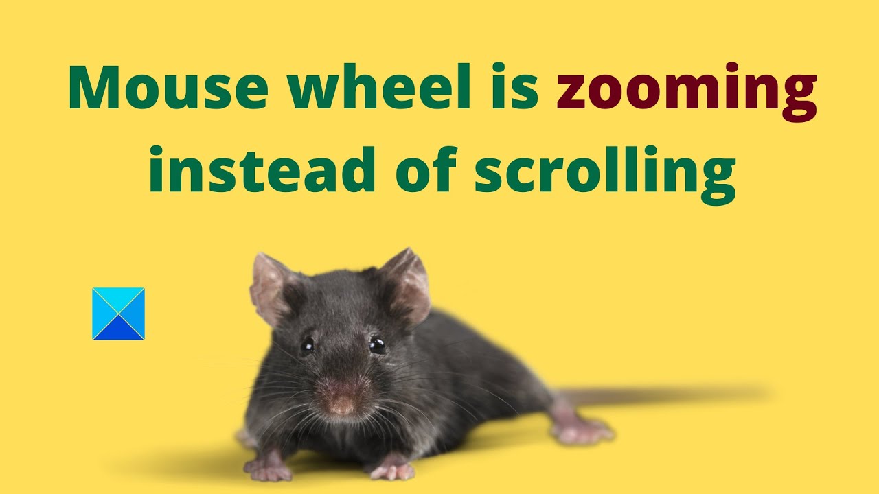 Mouse Wheel Is Zooming Instead Of Scrolling - YouTube