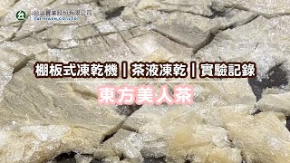 真空冷凍乾燥機｜茶液凍乾｜東方美人茶｜凍乾機紀錄｜台溢實業