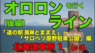 【北海道 オロロンラインを行く(後編）】 オトンル風力発電所の２８基の風車が並ぶ姿はサロベツ原野と調和し素晴らしい景観です