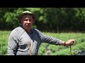 tomatoes may louisiana harvest of the month