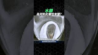 水銀，為何如此懼怕食鹽？