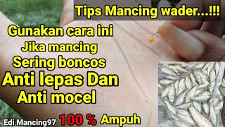 MANCING WADER || CARA MANCING IKAN WADER DI SUNGAI AGAR DAPAT BANYAK