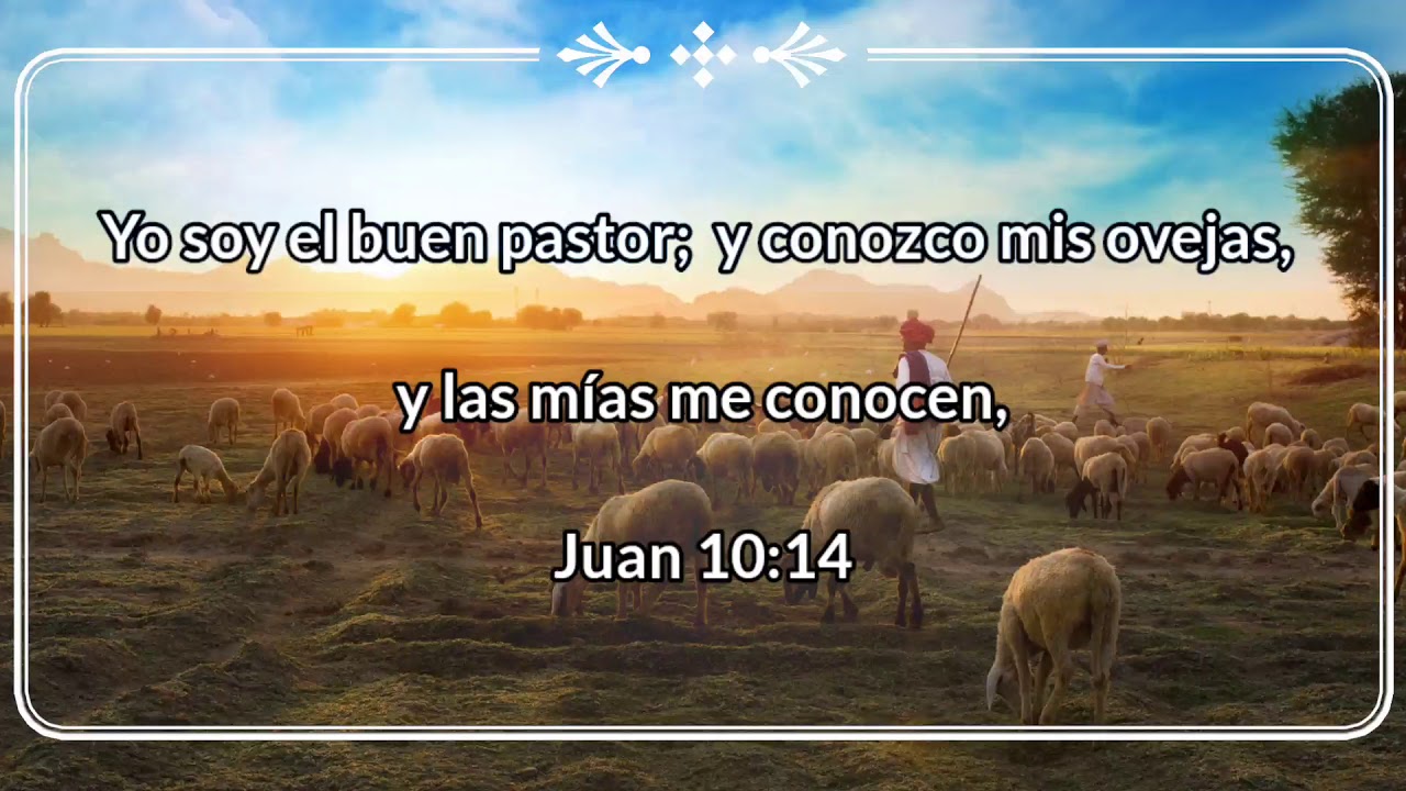 Versículo Del Día | Juan 10:14 - YouTube