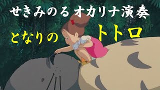 となりのトトロ／井上あずみ(オカリナ演奏)関稔