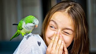 The 13 Best Pets for Allergy Sufferers