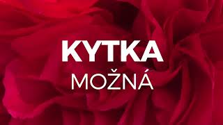 Kytka - Možná (lyric video)