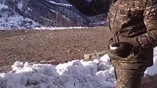 Wild bears with Armenian Soldiers somewhere in Karvachar