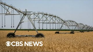 War in Ukraine raises concerns about global food supply