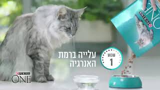 מיקי קריינים-סרטון פרסום Purina ONE Cats-קריינות שני פופליקר