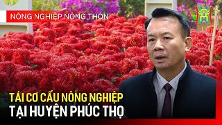 Tái cơ cấu ngành nông nghiệp huyện Phúc Thọ | Nông nghiệp nông thôn