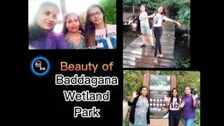 Our First Travel | Baddagana Wetland Park