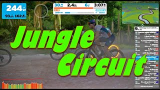 Is the Gravel Bike any good in the Zwift Jungle Circuit? TDZ Stage 4 Short