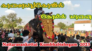 Kalaiyarkovil temple Elephant  Nattarasankottai Kannathal Temple Kumbhabishegam 2023 Temple vlogs