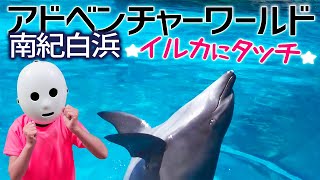 イルカにタッチ！アドベンチャーワールド 南紀白浜旅行