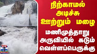 நிற்காமல் அடிச்சு ஊற்றும் மழை.. மணிமுத்தாறு அருவியில் கடும் வெள்ளப்பெருக்கு