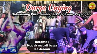 UNYING, Ganas, Berontak Nggak mau di bawa ke Jeroan, Calonarang Pr, Taman Sari, Begawan, Payangan